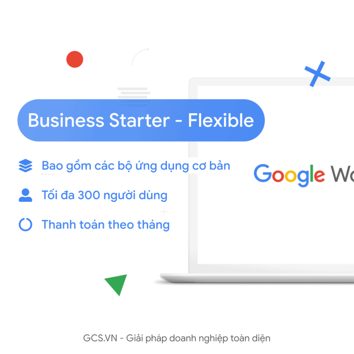 Business-Starter-Flex