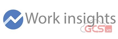 Google Work Insights full logo