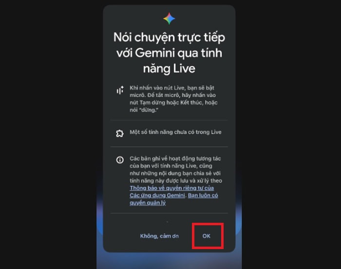 Sử dụng Gemini Live: Hướng dẫn chi tiết cách dùng từ A-Z 11 cấp quyền sử dụng micro